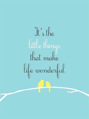 Little Things 1