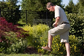 Gardening